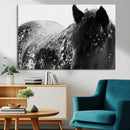 Black Horse in Snow Canvas Print | Winter Horse Wall Art |