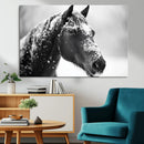 Horse Canvas Print - Winter Horse Snow Wall Art Canvas Print