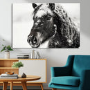 Framed Black and White Horse Wall Art | Ready to Hang and by MyGreatCanvas | Canvas Wall Art Prints | Photo Prints & Wall Decor