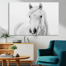 Majestic White Horse Wall Art | Ready to Hang and Framed |