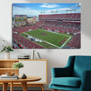 Florida Tampa Raymond James Stadium Wall Art Canvas Print -