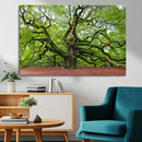 Framed Angel Oak Tree Wall Art - 3-Panel Canvas Prints,