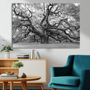 Black White Angel Oak Tree Wall Art - Timeless