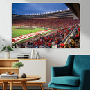 Wisconsin Badgers Football Team Print - Madison Camp Randall