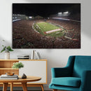 Wisconsin Badgers Football Team Print - Madison Camp Randall