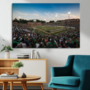 University of Charlotte 49ers Football Team Print - by MyGreatCanvas | Canvas Wall Art Prints | Photo Prints & Wall Decor