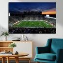 Michigan State Spartans Football Team Print - East Lansing