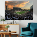 Michigan State Spartans Football Team Print - East Lansing