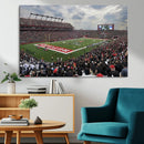 Rutgers Scarlet Knights Football Team Print - SHI Stadium,