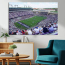 The Texas Christian University TCU Horned Frogs Football