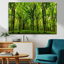 Lush Green Forest Canvas Print | 3-Panel Forest Wall Art |