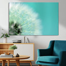 DANDELION Flower Wall Art Canvas Print, Canvas Dandelion by MyGreatCanvas | Canvas Wall Art Prints | Photo Prints & Wall Decor