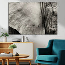 Elephant Wall Art Canvas Print
