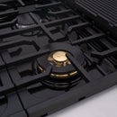 48" Slide-in Freestanding Professional Style Gas Range with 6.7 Cu. Ft. Oven, 8 Burners, AK-JK48A1-S