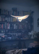 Plena Pendant Light
