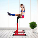 Adjustable Dip Bar with 10 Height Levels by LJGDeals