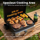 Portable Gas Griddle 1-Burner with Ceramic Non-Stick Plate by LJGDeals