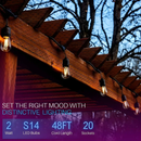 SL101 3000K Warm White LED Low Voltage Bistro String Lights 48 FT Outdoor Weatherproof 12V Edison Bulbs by Kings Outdoor Lighting