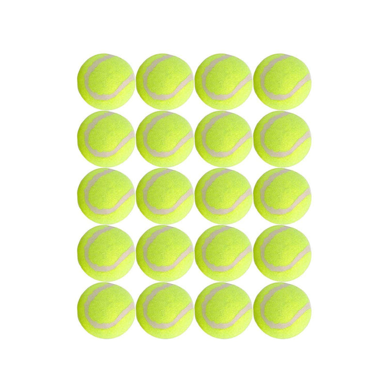 Dog Tennis Balls 20 Pack Pet Tennis Ball for Small Dogs Premium Fetch Toy Non-Toxic Non-Abrasive Material