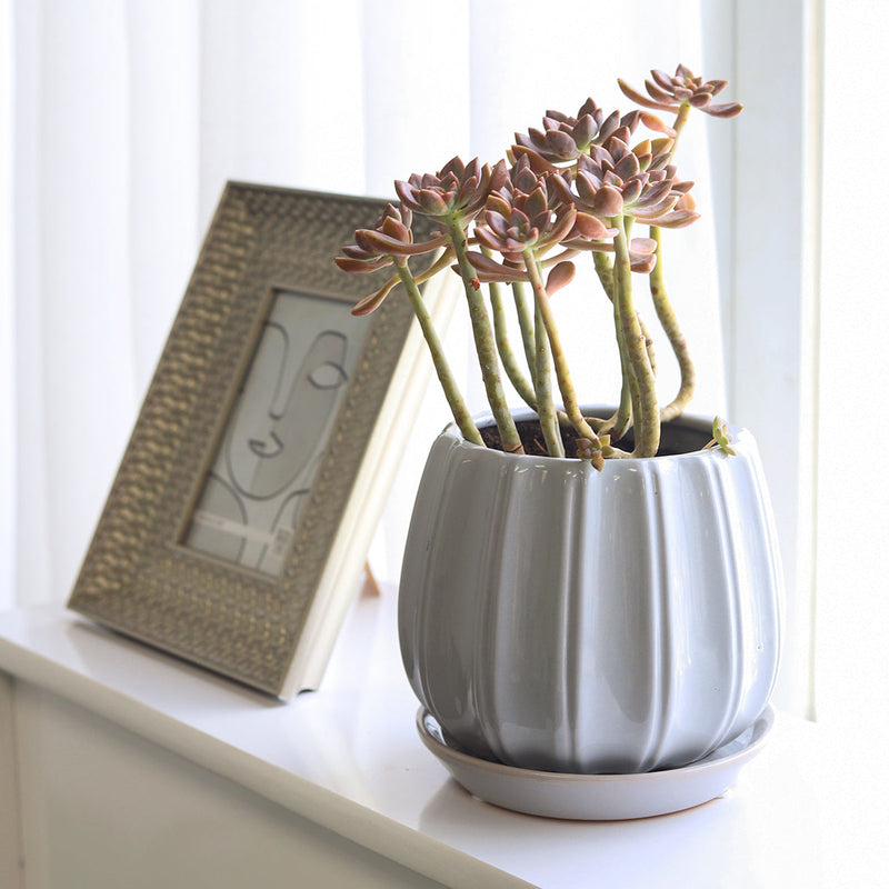 6 inch Grey Glazed Ceramic Contour Planter