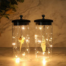7" Tall Battery Powered Sea Shell Pendant Decorative Lamp（Set of 2） by JHY DESIGN