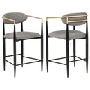 Tina Fabric Upholstered Counter Chair Dark Grey (Set of 2)