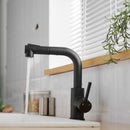 Black Kitchen Sink Faucet with Pull Down Sprayer