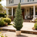 Realistic Artificial Cypress Tree, UV Resistant Indoor / Outdoor Topiary Plant For Decoration - Green Leaves by Unique Piece Furniture
