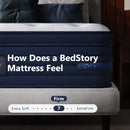 Bedstory Spine Align Pro 13" Twin Firm Cooling Hybrid Mattress by HouseOfZazla