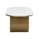 Luxury Modern Oval Coffee Table