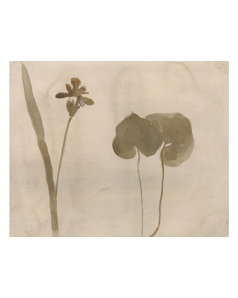 Botanical Thoughts II