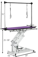Hydraulic Pet Grooming Table With "H" Arm by HouseOfZazla