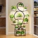 Plant Stand Indoor With Grow Light, 9 Tiered 63" Tall Indoor Plant Shelves For Multiple Plants - Walnut / Black by Unique Piece Furniture