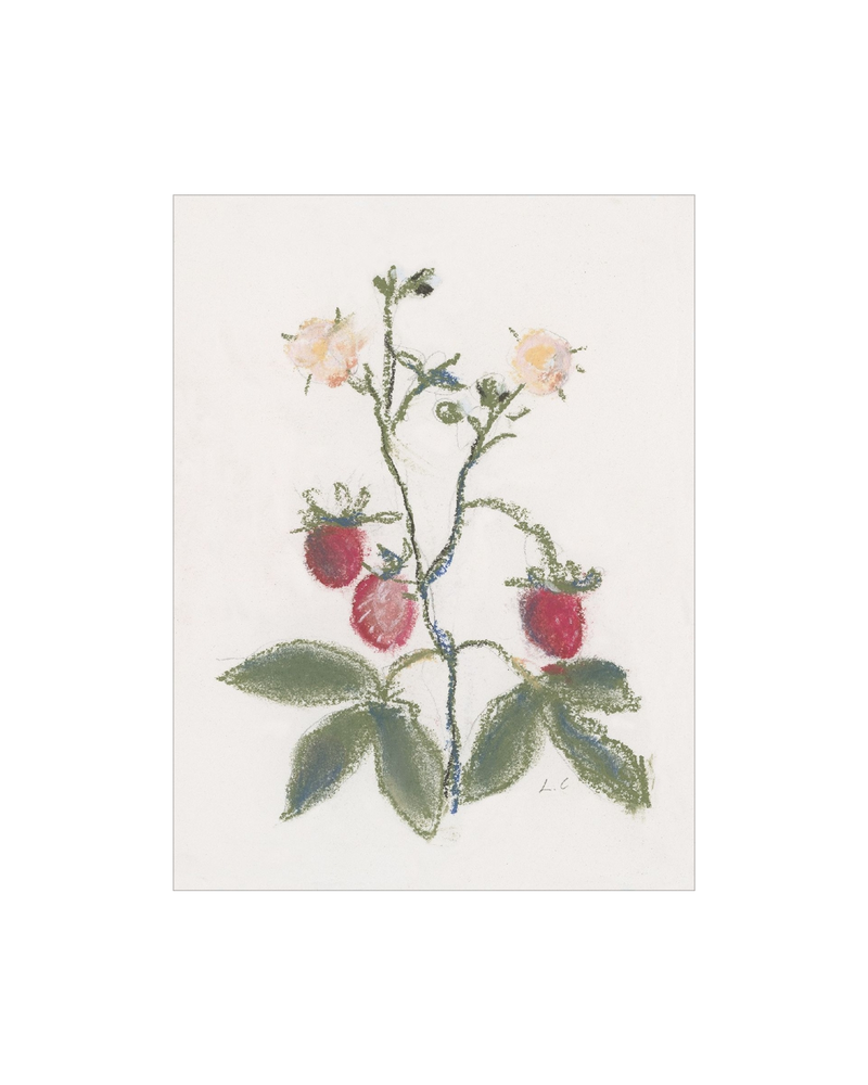 Strawberry Branch