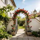 Metal Garden Arch With Gate Wide High Climbing Plants Support Rose Arch Outdoor - Black by HouseOfZazla