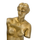 Set of 2 Venus de Milo Bust Bookends with Gold Finish by HouseOfZazla