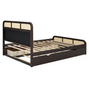 Platform Bed With Trundle And 2 Drawers by HouseOfZazla