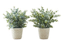 13" Tall Artificial Eucalyptus Grass Plant Set of 2 by HouseOfZazla