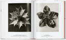 Karl Blossfeldt. The Complete Published Work. 45th Ed. (German, French, English)
