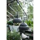 D10.4x11.4" Hanging Lamp