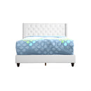 Upholstered Nailhead Trim Chic Bed by Unique Piece Furniture
