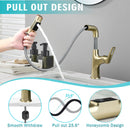 Pull Down Vessel Faucet With Lift Spout & Dual Spray Modes by HouseOfZazla