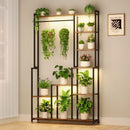 Large Indoor Plant Stand with Grow Light