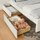 Queen Size Vertical Channel Tufted Upholstered Bed with Storage and Trundle by HouseOfZazla