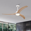 Indoor Outdoor Ceiling Fan With Light With Remote Control, Noiseless Reversible Motor, 6 Speed, 3 Color by HouseOfZazla