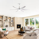 6 PCS ABS Blades 56" Ceiling Fan With Light Kit by HouseOfZazla