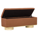 Modern 50" Storage Bench