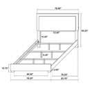 Medici - Eastern King LED Headboard Bed - Black