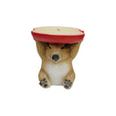 14" Capybara Holding Apple Slice Stool