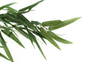 50" Tall Artificial Bamboo Tree, Potted Decorative Plant by HouseOfZazla